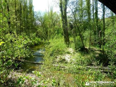 Senda de los Pescadores-Cuellar;refugio elola nacimiento rio cuervo urbasa